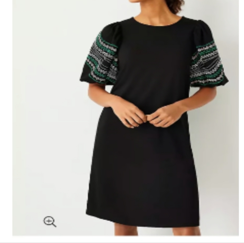 NWT Goregeous Ann Taylor Embroidered Balloon Puff Sleeves Dress